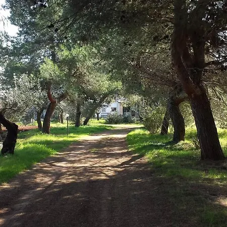 Masseria Dell'800 Castellana Grotte