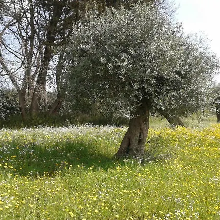 Masseria Dell'800 * Castellana Grotte