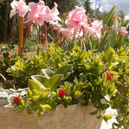 Masseria Dell'800 Castellana Grotte