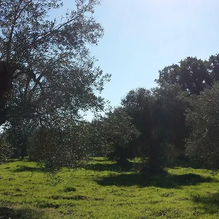 Masseria Dell'800 * Castellana Grotte