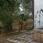 Masseria Dell'800 *