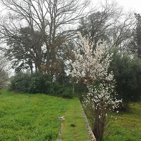 Masseria Dell'800 Séjour à la campagne *