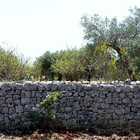 Masseria Dell'800 Venkovský dům Castellana Grotte